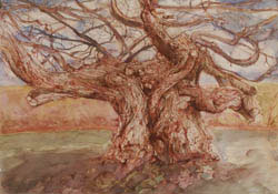 Study for Oberon Tree 2010
